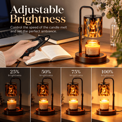 Ambré™ | Tortoise Candle Warmer